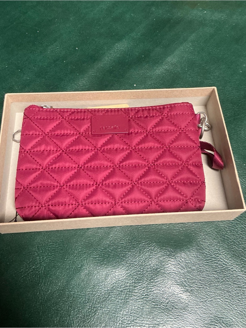 NWT The PACSAFE RIFIDsafe W75 Pouch/Mini purse